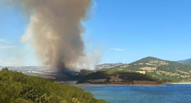Çanakkale'de orman yangını