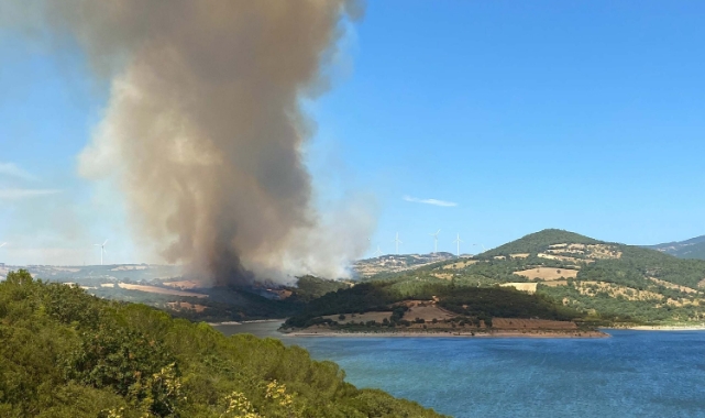 Çanakkale'de orman yangını
