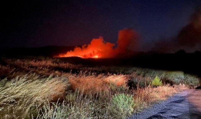 Çanakkale ve Uşak'ta orman yangını: Müdahale sürüyor