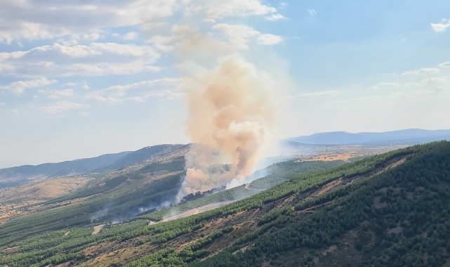 Çivril’deki yangında 8 hektar alan zarar gördü
