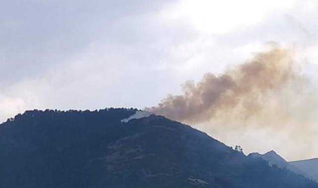 Denizli'de yıldırım düşmesi sonucu yangın çıktı