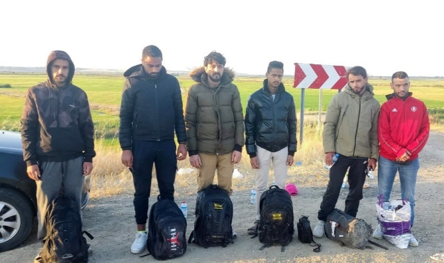 Edirne'de 11 kaçak göçmen yakalandı