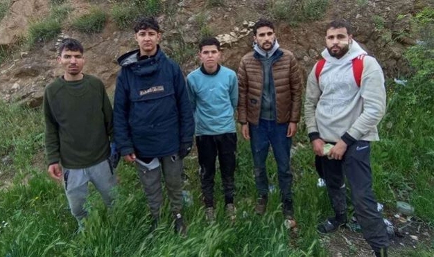 Edirne'de 8 kaçak göçmen yakalandı