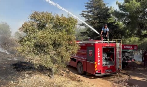 Gaziantep’te orman yangını