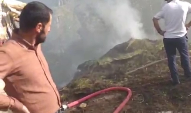 Hakkari'de 2 bin 500 bağ ot yandı