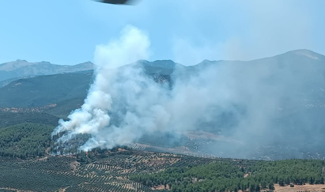 Hatay'da orman yangını