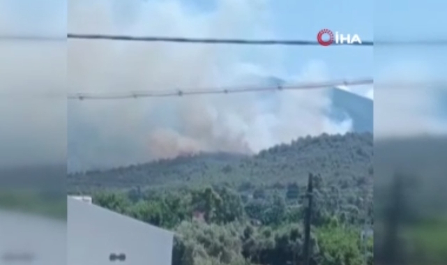 Hatay'da orman yangını