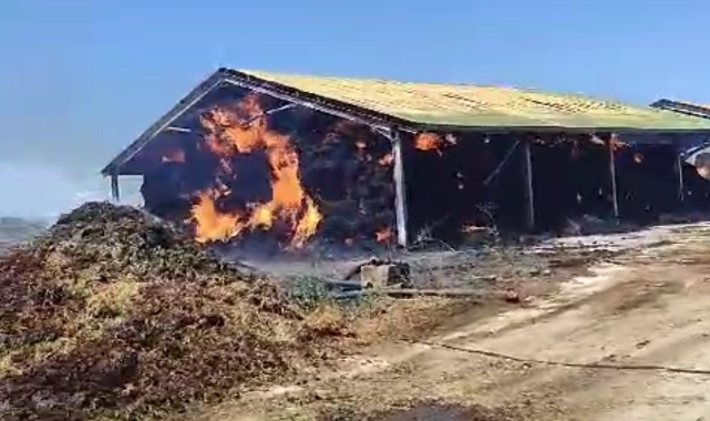Hayvan çiftliğindeki saman yangını korkuttu!
