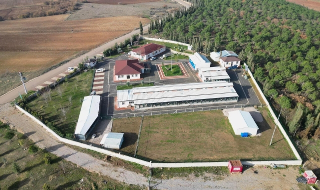 İnegöl Belediyesi Can Dostlarına Şifa Dağıtıyor
