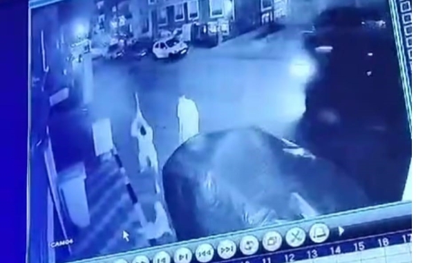 İzmir'de köpeğe saldıran baba oğula adli kontrol!   