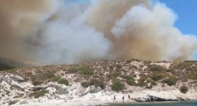 İzmir'de ormanlık alanda yangın!