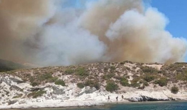 İzmir'de ormanlık alanda yangın!