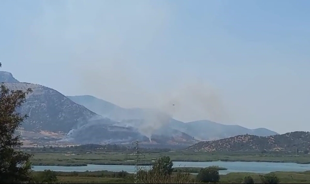 İzmir'deki orman yangını kontrol altında!
