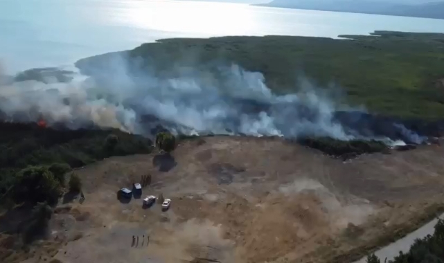 İznik Gölü'nde sazlık yangını