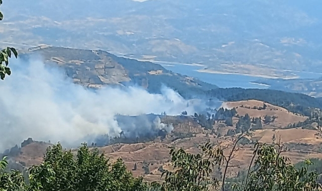 Kahramanmaraş’ta orman yangını!