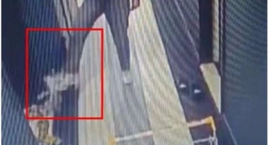 Kediye işkenceye 1,5 yıl hapis!