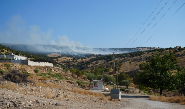 Kilis'te orman yangını: 50 dönüm arazi kül oldu   