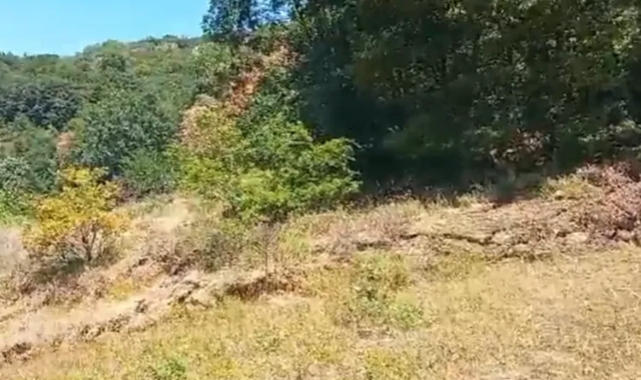 Kirazlıyayla köylüleri maden atıklarına isyan etti