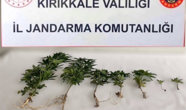 Kırıkkale'de uyuşturucu operasyonu! 3 gözaltı   