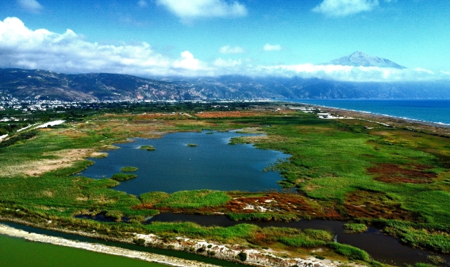 "Kuş Cenneti" 305 kuş türüne ev sahipliği yapıyor