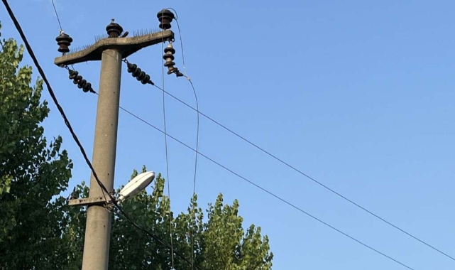 Kuşun çarptığı teller bütün mahallenin elektriğini kesti