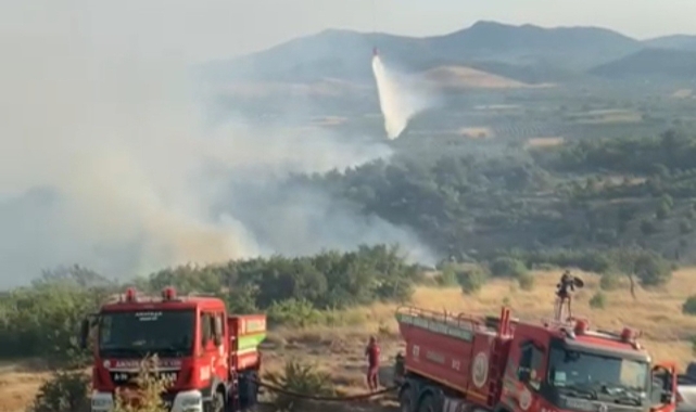 Manisa'daki orman yangını kontrol altına alındı