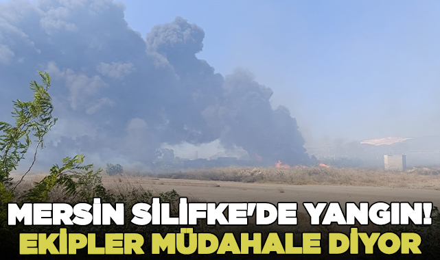 Mersin Silifke'de yangın! Ekipler müdahale ediyor