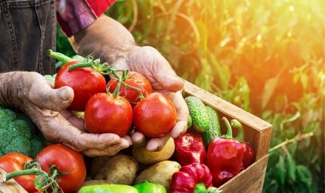 Mevsiminde tüketin! Temmuz ayı sebze ve meyveleri nelerdir?