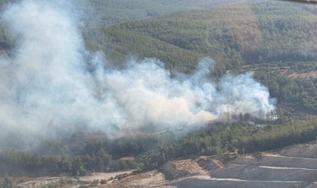 Muğla'da orman yangını!  