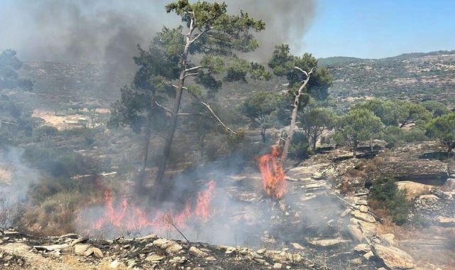 Muğla’da orman yangını