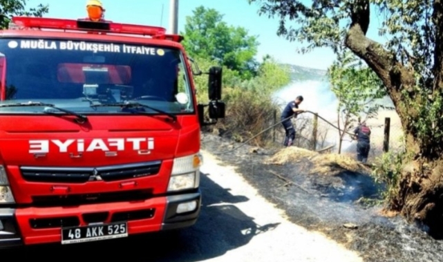 Muğla'da sigara izmariti yangın çıkardı