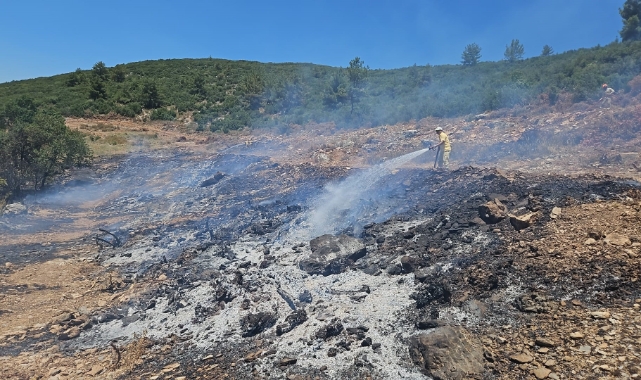 Muğla'daki yangın kontrol altına alındı
