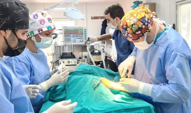 Osmangazi'de hedef sokak hayvanı popülasyonunu kontrol altına almak