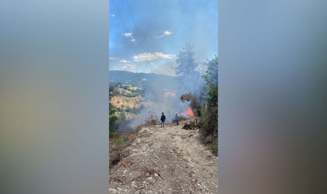 Osmaniye'de orman yangını çıktı