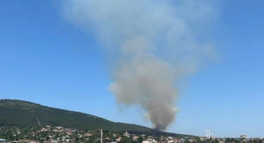 Pendik Aydos Ormanı'nda yangın çıktı
