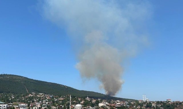 Pendik Aydos Ormanı'nda yangın çıktı