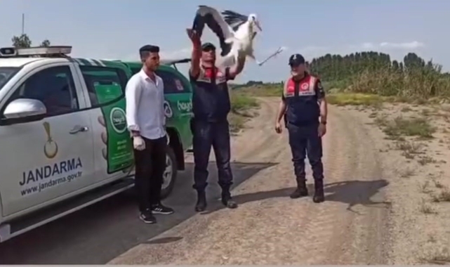 Sıcaktan bitkin düşen leylek tedavi altına alındı!