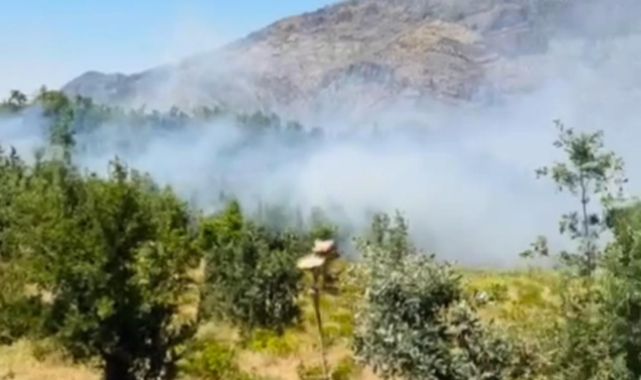 Şırnak'ta orman yangını!
