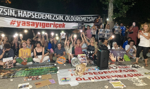 'Sokak Hayvanlarına Yönelik Yasa Teklifine' karşı protesto!
