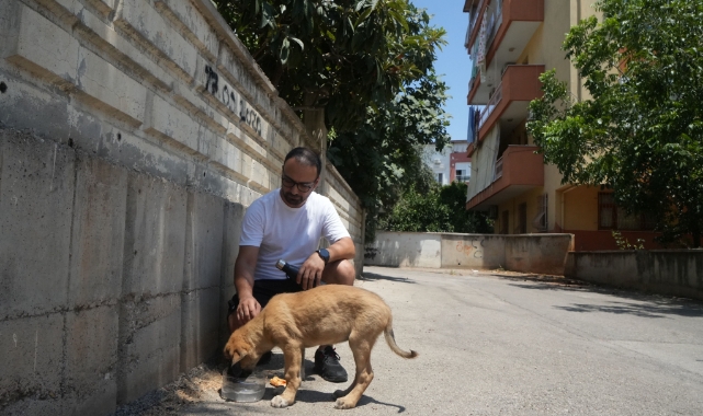 Sokak köpeğine şiddete şahit oldu, üzerine kayıtlı olmadığı için şikayetçi olamadı!