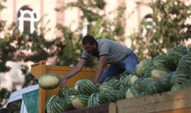 Tarlada kalan karpuz, Bursalılara ücretsiz dağıtıldı