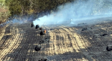 Tekirdağ'da 200 dönüm anız alanı küle döndü