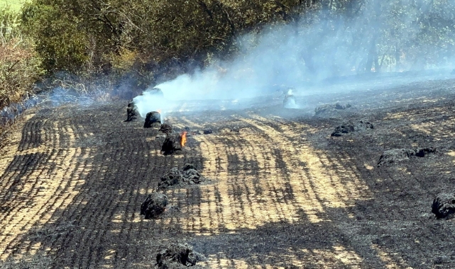 Tekirdağ'da 200 dönüm anız alanı küle döndü