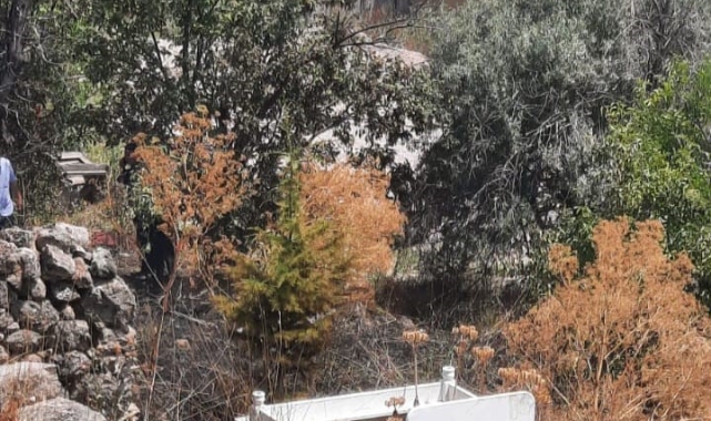 Tunceli’de ot yangını!