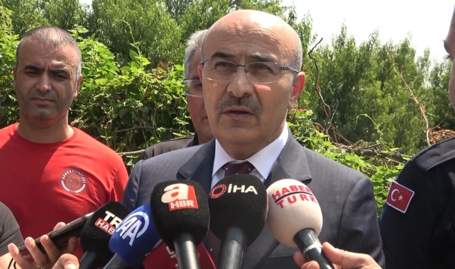 Vali Demirtaş yangın bölgesinde