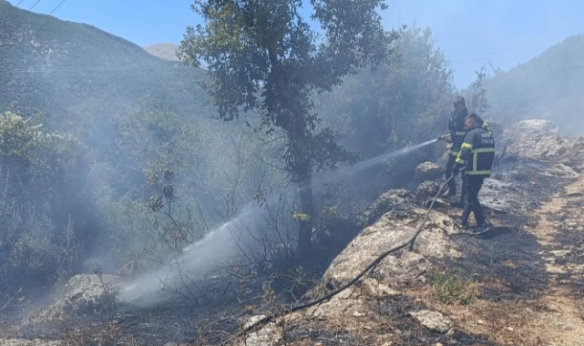 Yayladağı’nda orman yangını
