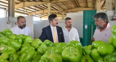 Yenişehir Biberi'nin değeri artacak!