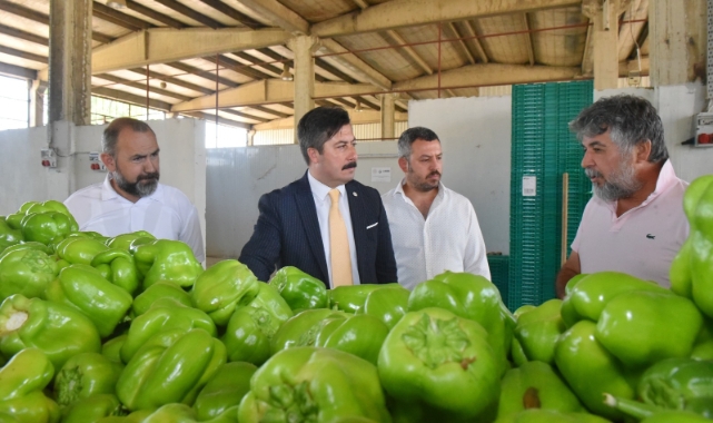 Yenişehir Biberi'nin değeri artacak!