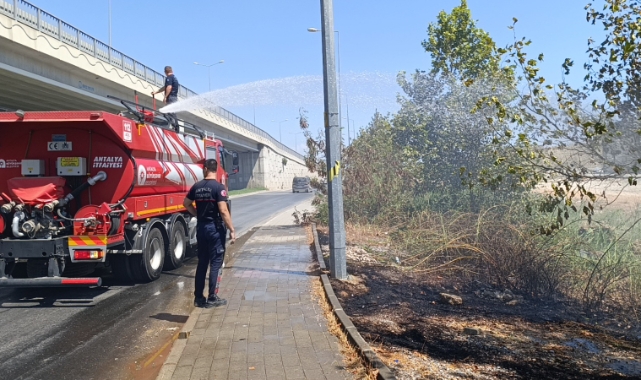 Yol kenarına atılan sigara izmariti yangın çıkardı!
