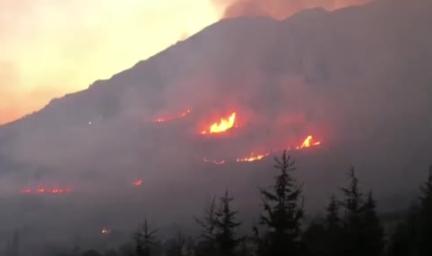 Afşin'de orman yangını